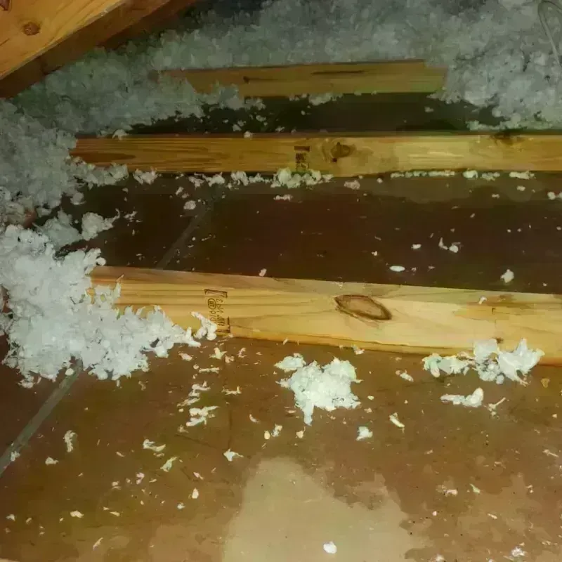 Attic Water Damage in Coppell, TX